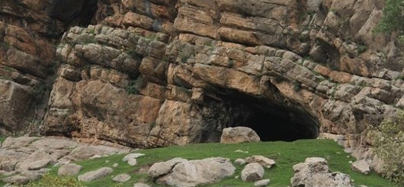 N83305643-73012416